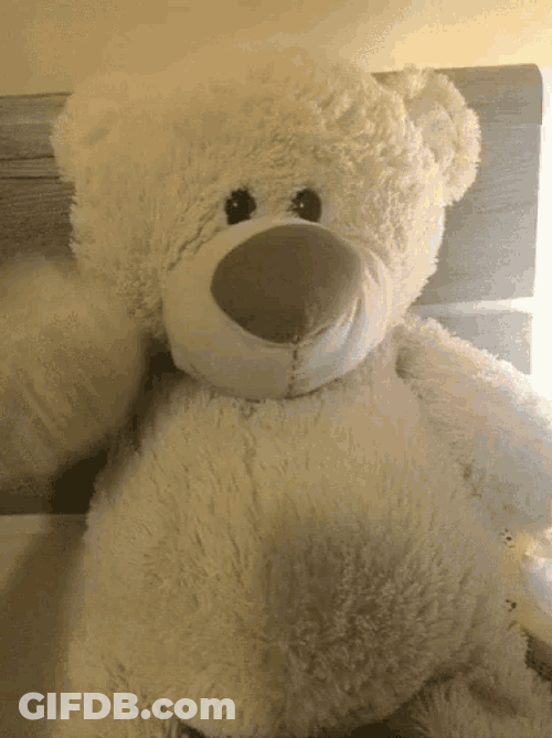 Teddy Bears GIF