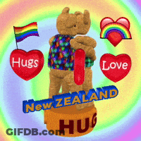 Teddy Bears Hugging Hugs New Zealand GIF