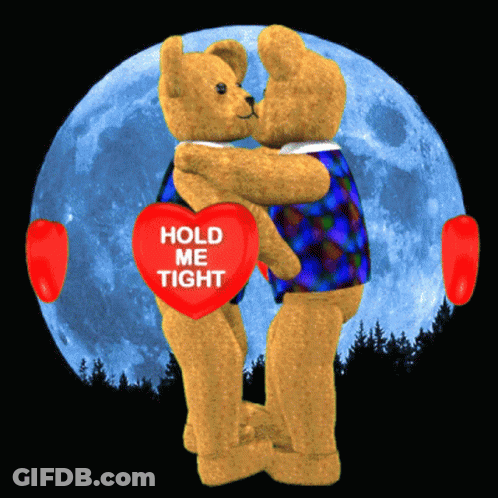 Teddy Bears Hugging With Hold Me Tight Heart GIF
