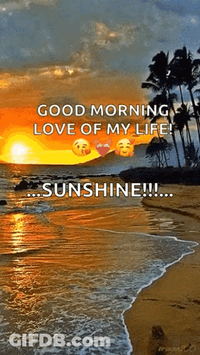 Teddy Bears Kissing Good Morning GIF
