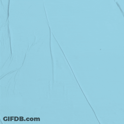 Teddy Mascot How Dare You GIF