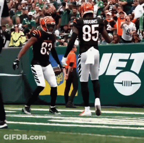 Tee Higgins Getting Excited GIF
