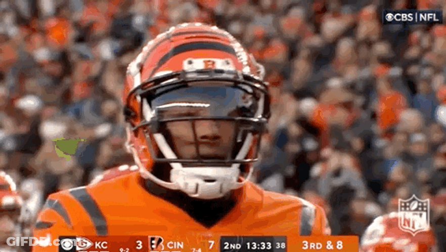 Tee Higgins Scores Another One GIF