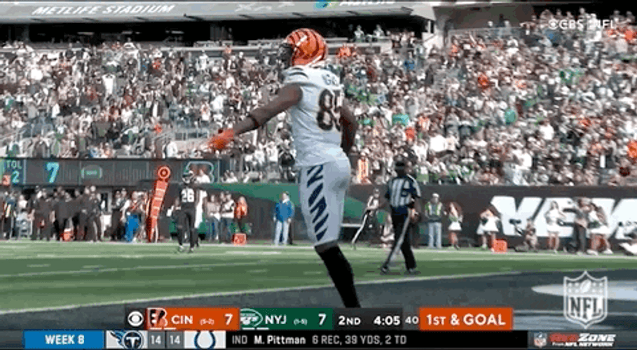 Tee Higgins Touch Down Close Up GIF