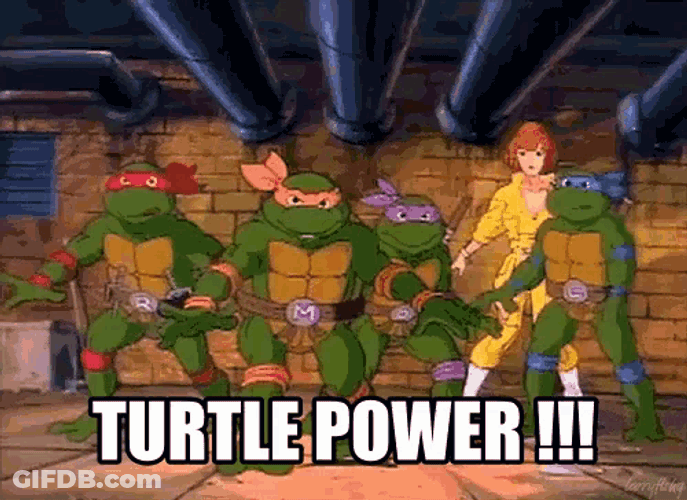 Teenage Mutant GIF