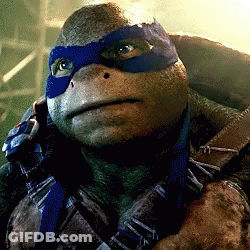 Teenage Mutant Ninja Turtle Crying It's So Beautiful GIF