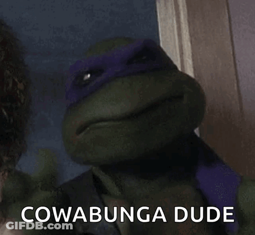 Teenage Mutant Ninja Turtle Laughing Cowabunga Dude GIF