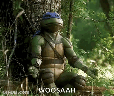 Teenage Mutant Ninja Turtle Saying Woosaah GIF