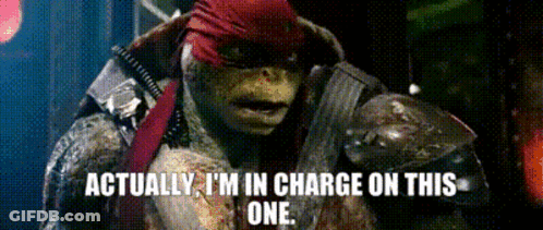 Teenage Mutant Ninja Turtle Says Actually I'm In Charge On This One GIF