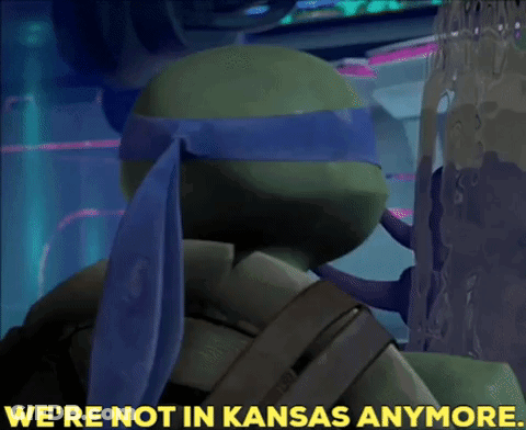 Teenage Mutant Ninja Turtle Says We're Not In Kansas Anymore GIF
