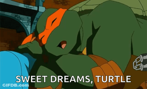 Teenage Mutant Ninja Turtle Sleeping Sweet Dreams Turtle GIF