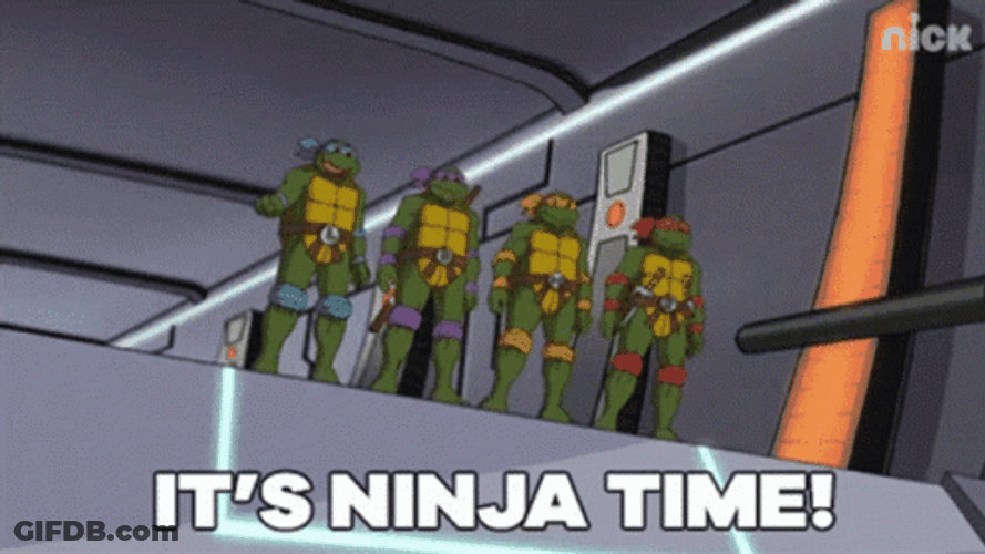 Teenage Mutant Ninja Turtle Time GIF