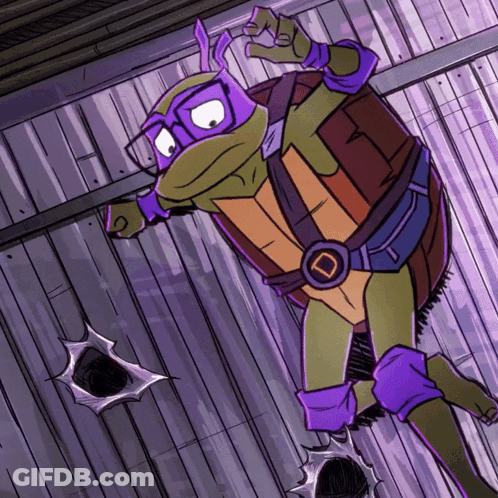 Teenage Mutant Ninja Turtle With D Belt GIF