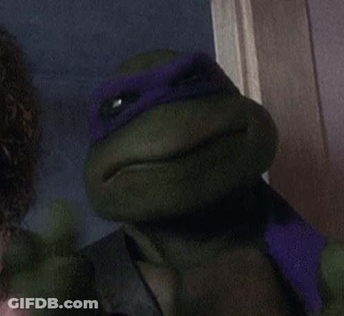 Teenage Mutant Ninja Turtle With Purple Mask GIF