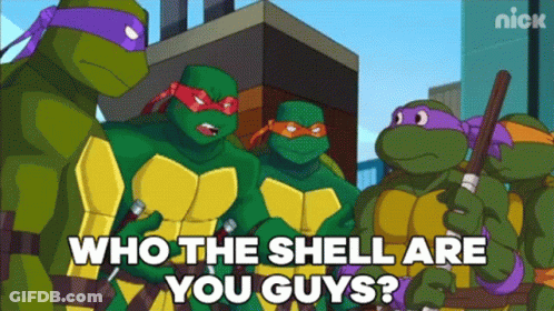Teenage Mutant Ninja Turtles Asking Who The Shell Are You Guys GIF