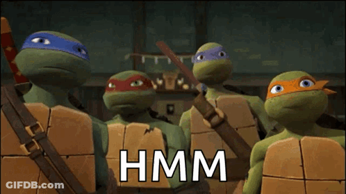 Teenage Mutant Ninja Turtles Hmm GIF