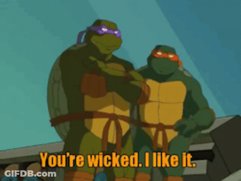 Teenage Mutant Ninja Turtles Saying You're Wicked GIF
