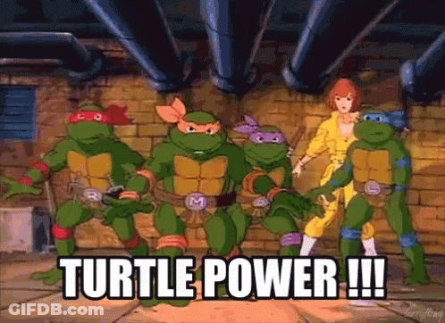 Teenage Mutant Ninja Turtles Turtle Power GIF