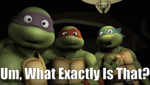 Teenage Mutant Ninja Turtles Um What Exactly Is That GIF