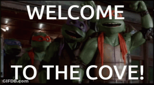 Teenage Mutant Ninja Turtles Welcome To The Cove GIF