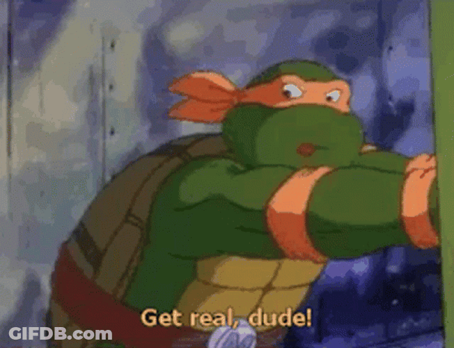 Teenage Ninja Turtle Dude GIF