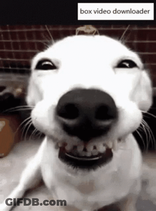 Teeth GIF
