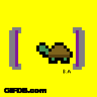 Teleporting Turtle GIF
