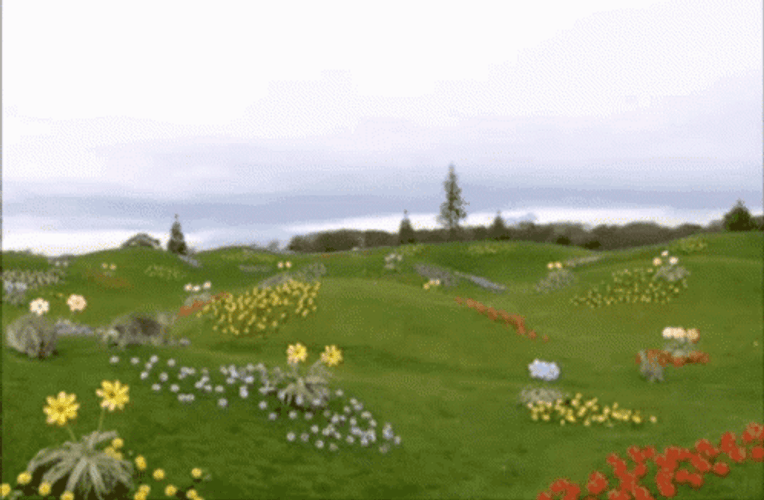 Teletubbies Laa-Laa Playing Peek A Boo GIF