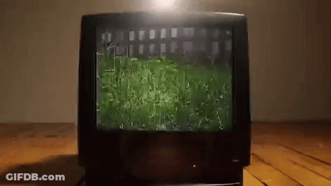 Television On Wooden Floor Showing Grass Field GIF