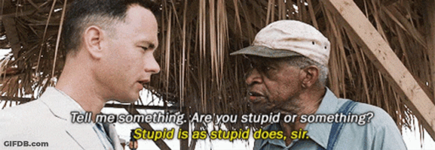 Tell Me Something Stupid Is As Stupid Does GIF