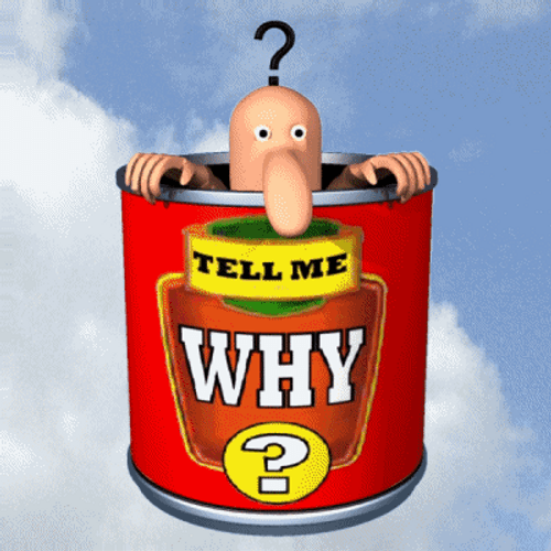 Tell Me Why Man Inside Can GIF