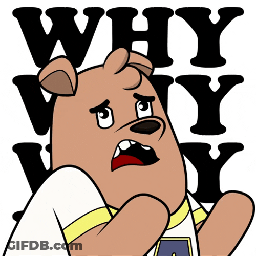 Tell Me Why Max Bear GIF