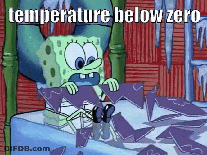 Temperature Below Zero SpongeBob SquarePants Freezing GIF