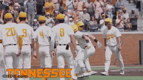 Tennessee Baseball Players On Field With Crowd GIF