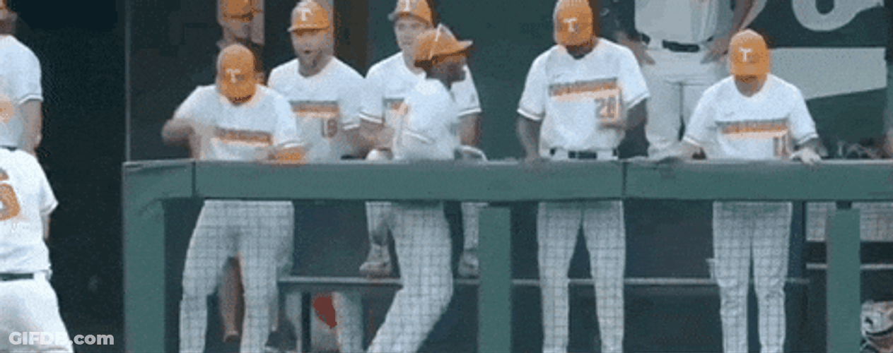 Tennessee Volunteers Ole Miss Baseball GIF