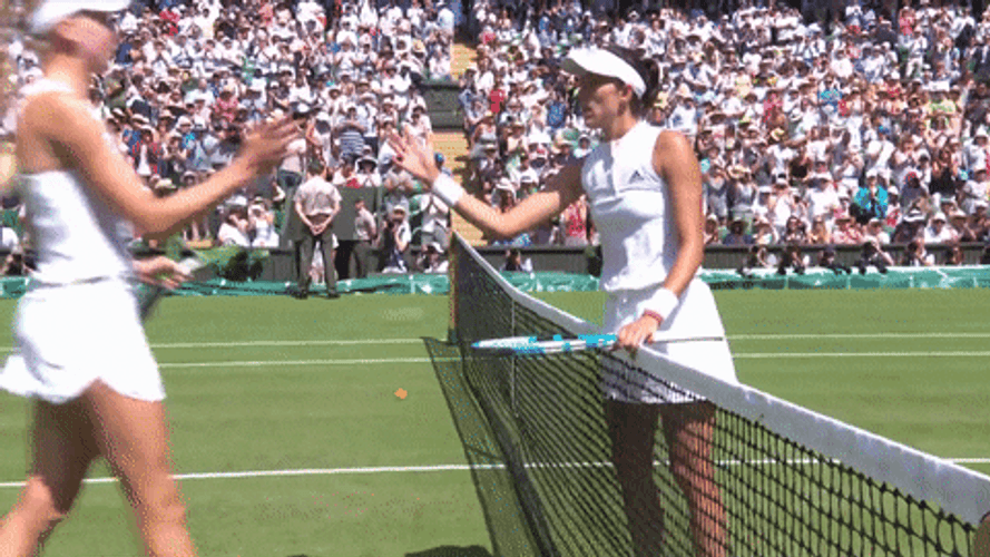Tennis Awkward Handshake Wimbledon GIF