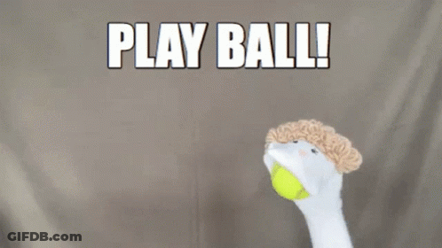 Tennis Ball Thrown In Air Saying Play Ball GIF