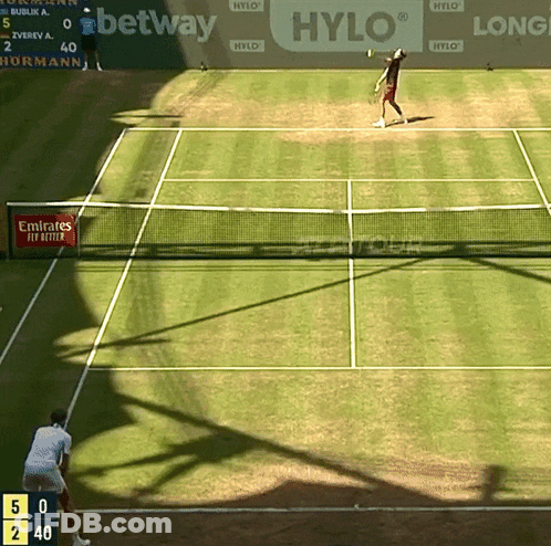 Tennis Court With Hylo Sign GIF