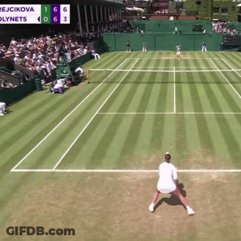 Tennis Match Between Rejcikova And Lynets GIF