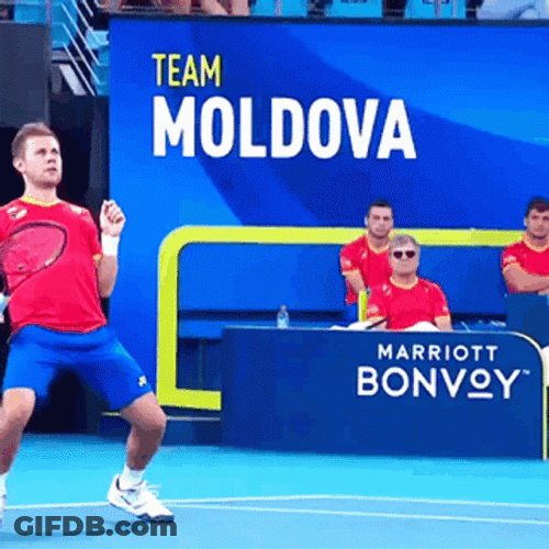 Tennis Moldova Radu Albot Sports GIF