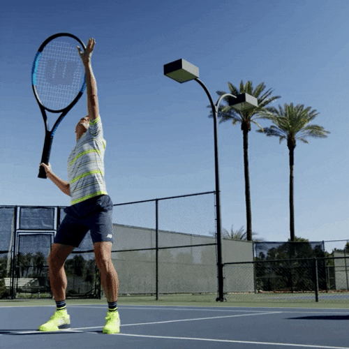 Tennis Overhead Let Raonic GIF