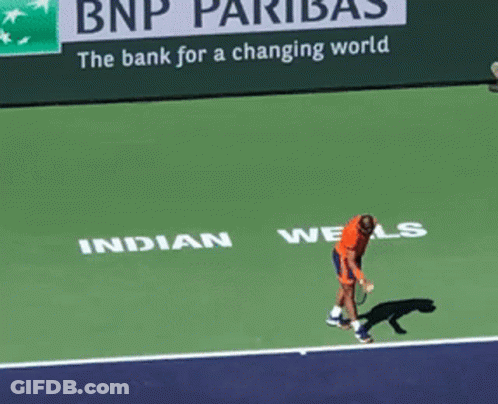 Tennis Player On Court With BNP Pariba Ad GIF