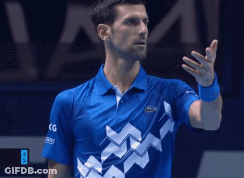 Tennisgifs Djokovic GIF
