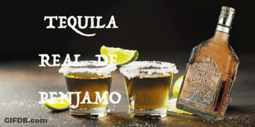Tequila Bottle And Shot Glasses GIF
