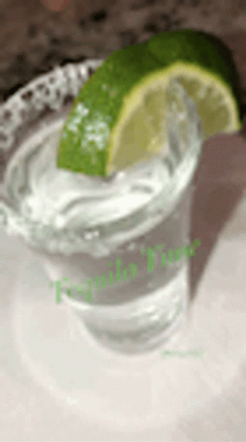 Tequila Shot Lime And Salt Garnish GIF
