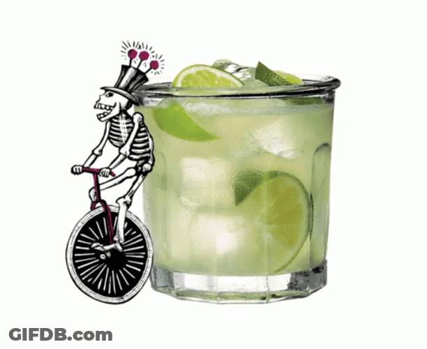 Tequila Sour Drinks GIF