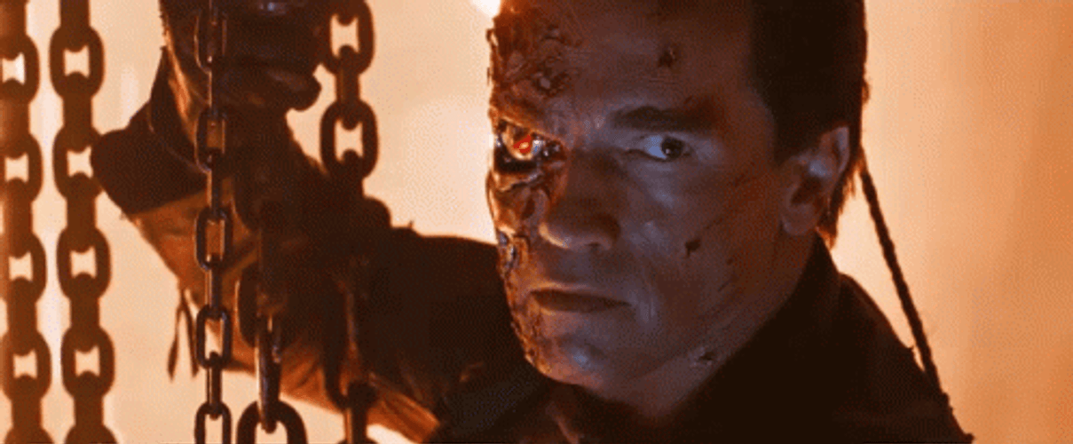 Terminator 2 Goodbye Scene GIF