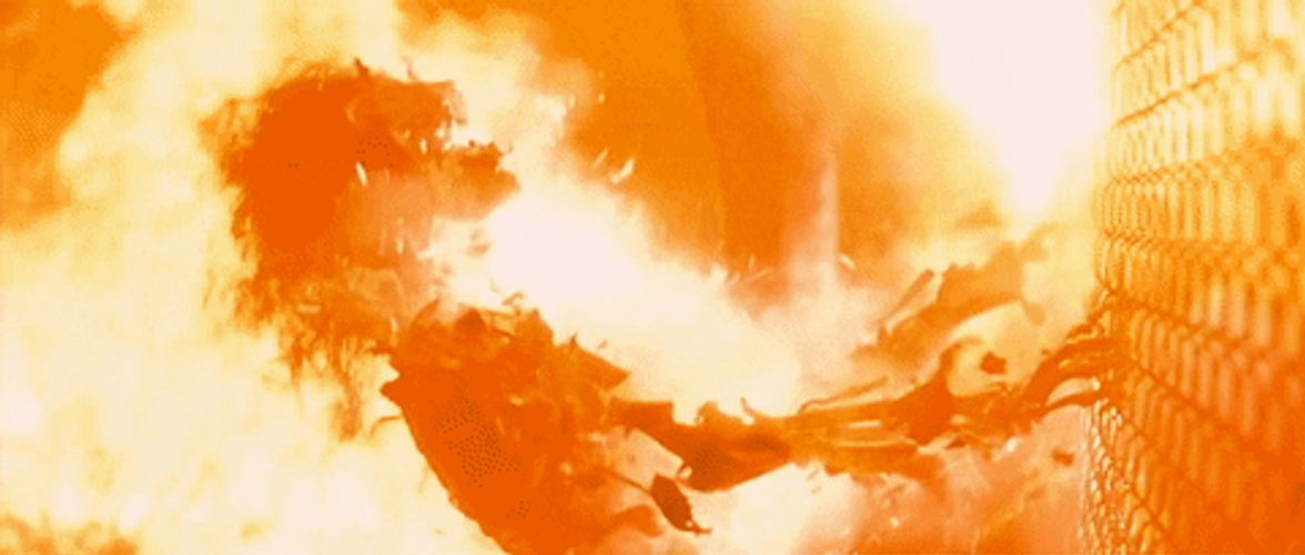 Terminator Apocalypse Fire GIF