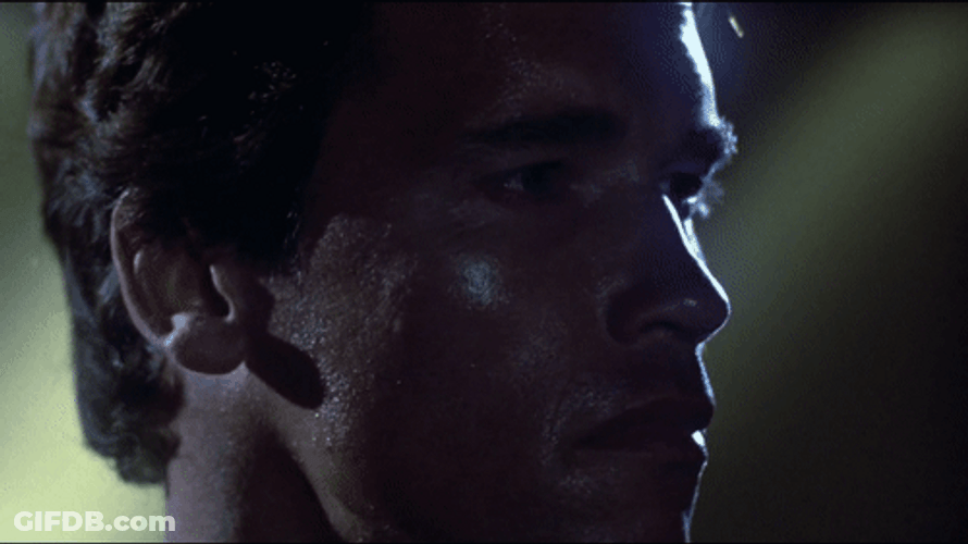 Terminator Arnold Schwarzenegger Look Around GIF