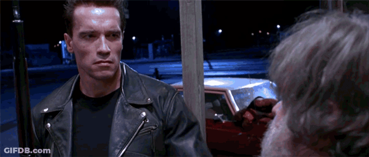 Terminator Deal With It GIF